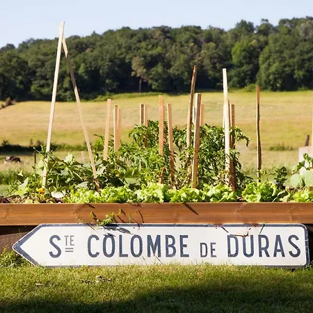 Le Vallon De Guerry ベッド・アンド・ブレックファスト 3*