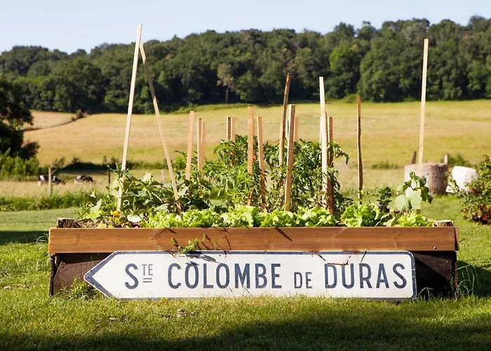 Le Vallon De Guerry ベッド・アンド・ブレックファスト 3*